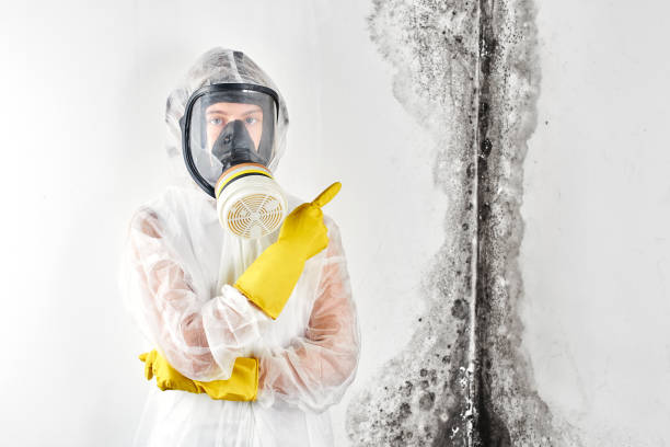 Water damage restoration mold remediation in Gothenburg, NE